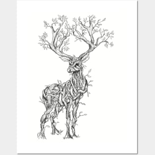 Vine Branch Stag (Sketch) Posters and Art